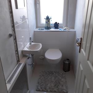un piccolo bagno con un water e un lavandino di Reitbergs Nest a Eugendorf
