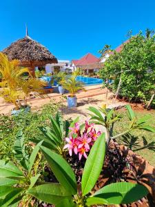 a resort with a pool and a lot of plants at Mimi na wewe villa in Nungwi