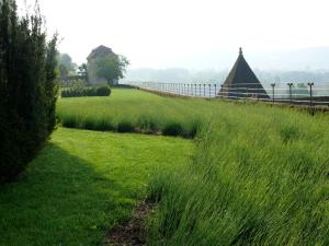 un campo di erba alta e verde accanto a una recinzione di Maison d'amis a Beynac-et-Cazenac