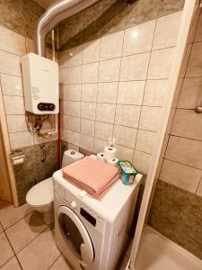 a bathroom with a washing machine and a toilet at Apartamenty KTW Park Śląski Luksusowy PRL in Katowice