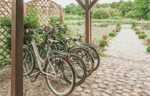 Jazda na bicykli v okolí ubytovania Nice Home In Wegorzewo With Sauna