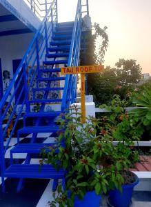 阿格拉The Coral House Homestay by the Taj的相册照片