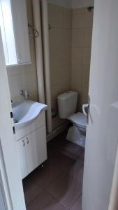 y baño con lavabo y aseo. en Nice apartment in New Belgrade with free parking, en Belgrado