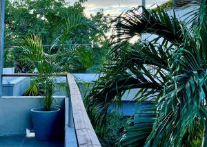 Un balcón con dos macetas encima. en Casa VillaMatisse, en Tulum