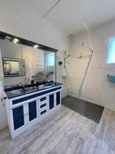 a bathroom with a sink and a shower at Maison aux pieds des Pyrénées - Piscine d'exception de 25m in Espoey