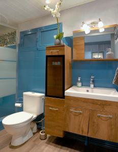 La salle de bains bleue est pourvue de toilettes et d'un lavabo. dans l'établissement Chambre d'hôte et gîte chez Thomas et John, à Verdun-sur-Meuse