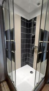 a shower with a glass door in a bathroom at Studio Bellevue 3 rue du bourg a Montastruc 47380 entrée indépendante in Montastruc