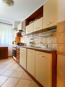 cocina con fregadero y fogones en Lovely & quiet 1-bedroom condo with free parking, en Bucarest