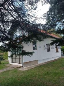 ein weißes Haus mit einem Fenster und einem Baum in der Unterkunft Resetovac in Batočina