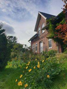 a house with a field of flowers in front of it at Ferienwohnung Medemgarten in Neuenkirchen