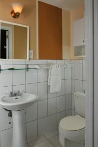 La salle de bains est pourvue de toilettes et d'un lavabo. dans l'établissement Victoria's Mansion Guest House, à Toronto