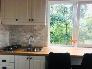 a kitchen with a sink and a window at Cozy Home in Ardino in Ardino