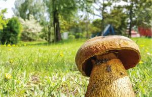 a large mushroom sitting in the grass in a field at Holiday Home Morag Kretowiny Iii in Pojezierce