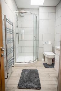 a bathroom with a shower and a toilet and rug at Spacious 1-Bedroom Home with free private parking in Swansea