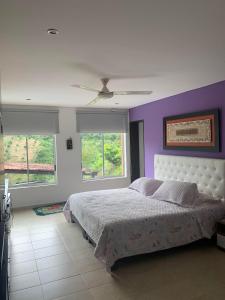 Schlafzimmer mit einem Bett mit lila Wänden und Fenstern in der Unterkunft Casa Areca in Anapoima