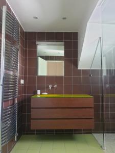 a bathroom with a sink and a mirror at Villa Meyronnes 3 chambres vue degagée montagnes in Barcelonnette