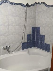 a bath tub with a shower head in a bathroom at Szeged-Vár in Szeged