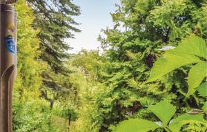 Vonkajšia záhrada v ubytovaní Holiday Home Barczewo Kaplityny Vii
