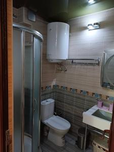 a bathroom with a toilet and a sink and a shower at Bakuriani-Otin in Bakuriani