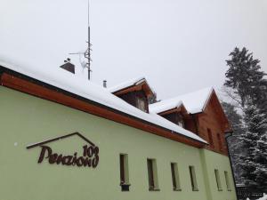Penzion 103 v zimě