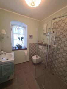 a bathroom with a shower and a toilet and a sink at Neue Ferienwohnung im alten Forsthaus in Rüdesheim am Rhein +14 photos