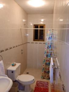 a bathroom with a toilet and a shower at La Casa Rosa Guanajuato in Guanajuato