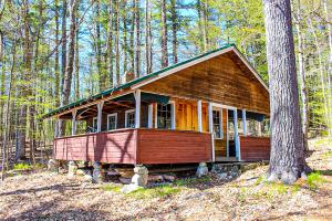 a small cabin in the woods with a tree at Deer Hill Camp in Moultonborough