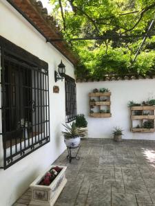 a patio with a table and a window with plants at Luxury Spanish Country House close to Granada & Sierra Nevada in Ermita Nueva