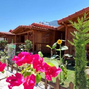 a house with pink flowers in front of a fence at Adrasan LilAmor ile evinizin konforunda bir tatil in Kumluca