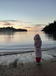 una persona de pie en la playa mirando el agua en Marina Vista Cabin, en Tutukaka
