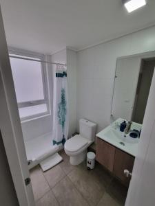 uma casa de banho com um WC, um lavatório e um espelho. em Apart Hotel Bauerle & Apartamentos em Temuco