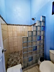 a bathroom with a shower with a toilet and a blue wall at Apartment Monte Luna Mountain View in Monteverde Costa Rica