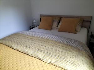 a bed with two pillows on top of it at Theressa - Free Wifi en Netflix in Zutendaal