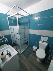 uma casa de banho azul com um WC e um chuveiro em Terraza Alcalá em Alcalá de Henares