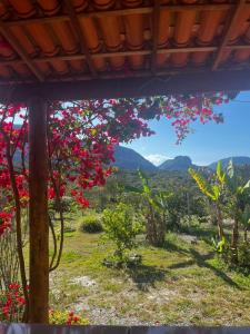 a tree with red flowers and mountains in the background at Pousada Serra Aquarela - Mini casas in Ibicoara