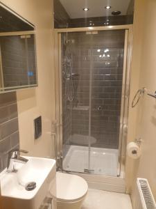 a bathroom with a shower and a toilet and a sink at London Luxury 3 bedroom 2 bathrooms flat 1 min to Redbridge Station FREE parking & WIFI in Wanstead