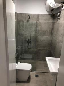a bathroom with a shower and a toilet and a sink at Cozy GuestHome Korce in Korçë