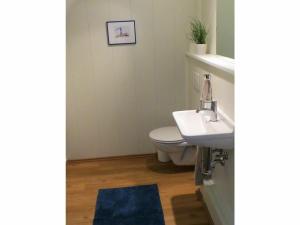 a bathroom with a toilet and a sink at Ferienhaus Frieda - Urlaubsparadies unter Reet in Damp