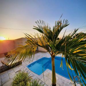een palmboom naast een zwembad bij Dunen Hotel in Piranhas