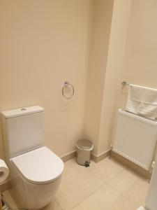 a white bathroom with a toilet and a trash can at London Luxury Apartment 3 Bed 1 minute walk from Redbridge Stn Free Parking in Wanstead