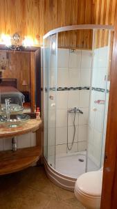 a bathroom with a shower with a toilet and a sink at Cascadas del Llaima in Refugio Llaima