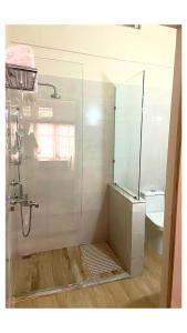 a bathroom with a shower with a mirror and a sink at Montevideo Boutique Homestay in Shillong