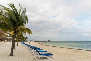 a row of blue lounge chairs on a beach at Departamento frente al Mar - Kiara in Cancún