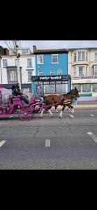 a horse pulling a pink horse drawn carriage on a street at Funky Towers in Blackpool