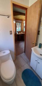 een badkamer met een toilet en een wastafel bij Saida Room Villarrica, arriendo habitaciones in Pucón