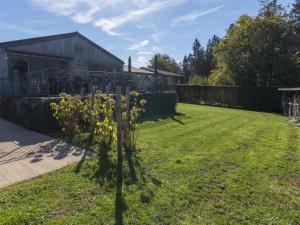 einen Busch im Hof eines Hauses in der Unterkunft Lush chalet near lake of B tgenbach in Wirtzfeld