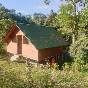 una pequeña casa de madera con techo verde en Cabaña Guayacanes, en Rionegro