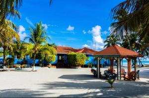 ośrodek na plaży z altaną i palmami w obiekcie Blue Marlin Beach Resort w mieście Dangriga