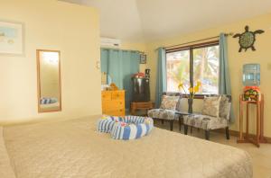 a bedroom with a bed and a chair and a window at Blue Marlin Beach Resort in Dangriga