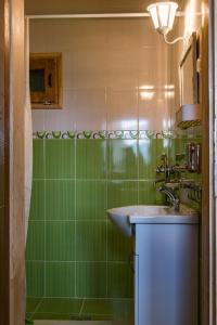 a green bathroom with a sink and a shower at Drvene kuće ŠUŠKA in Zaovine